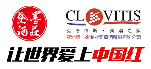 當(dāng)代咨詢視角下，成功紅集團(tuán)如何借助企業(yè)管理咨詢實(shí)現(xiàn)轉(zhuǎn)型升級(jí)